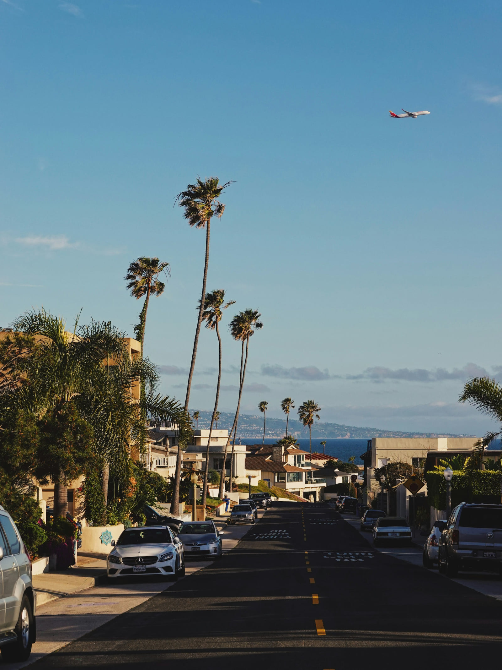 A Los Angeles residential street lined with palm trees and parked cars.
