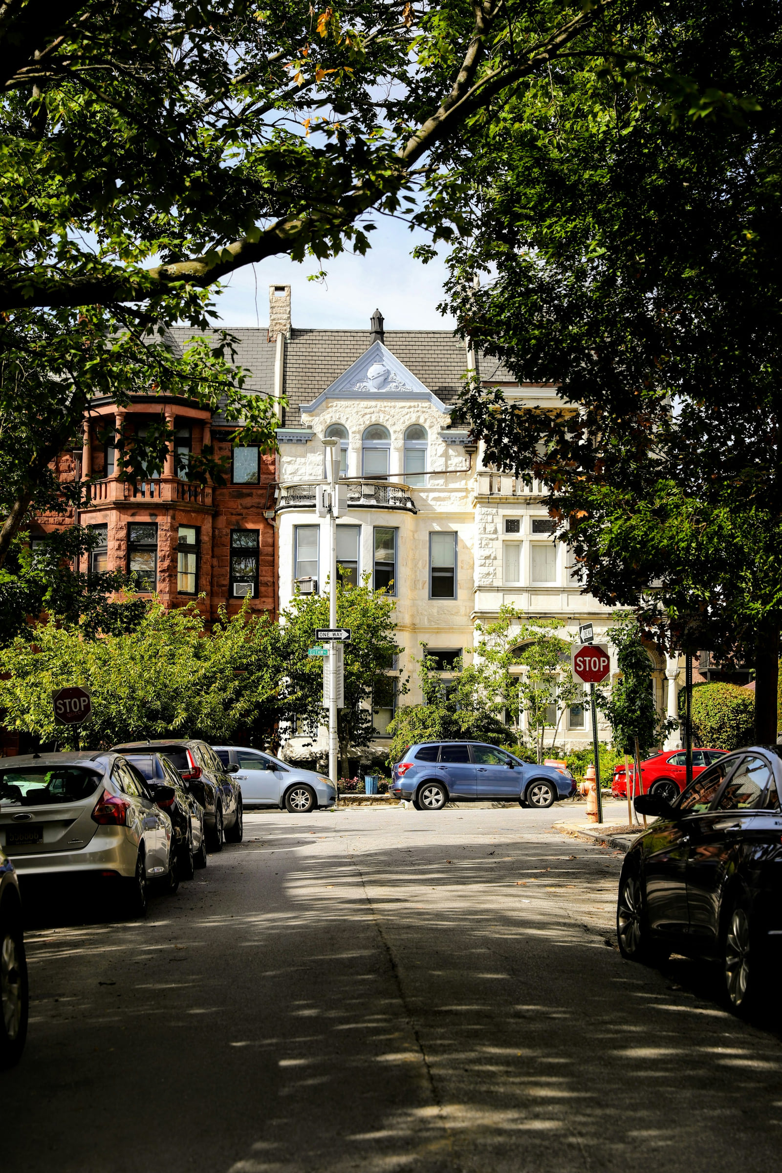 Brick homes and parked cars on a leafy Baltimore street.