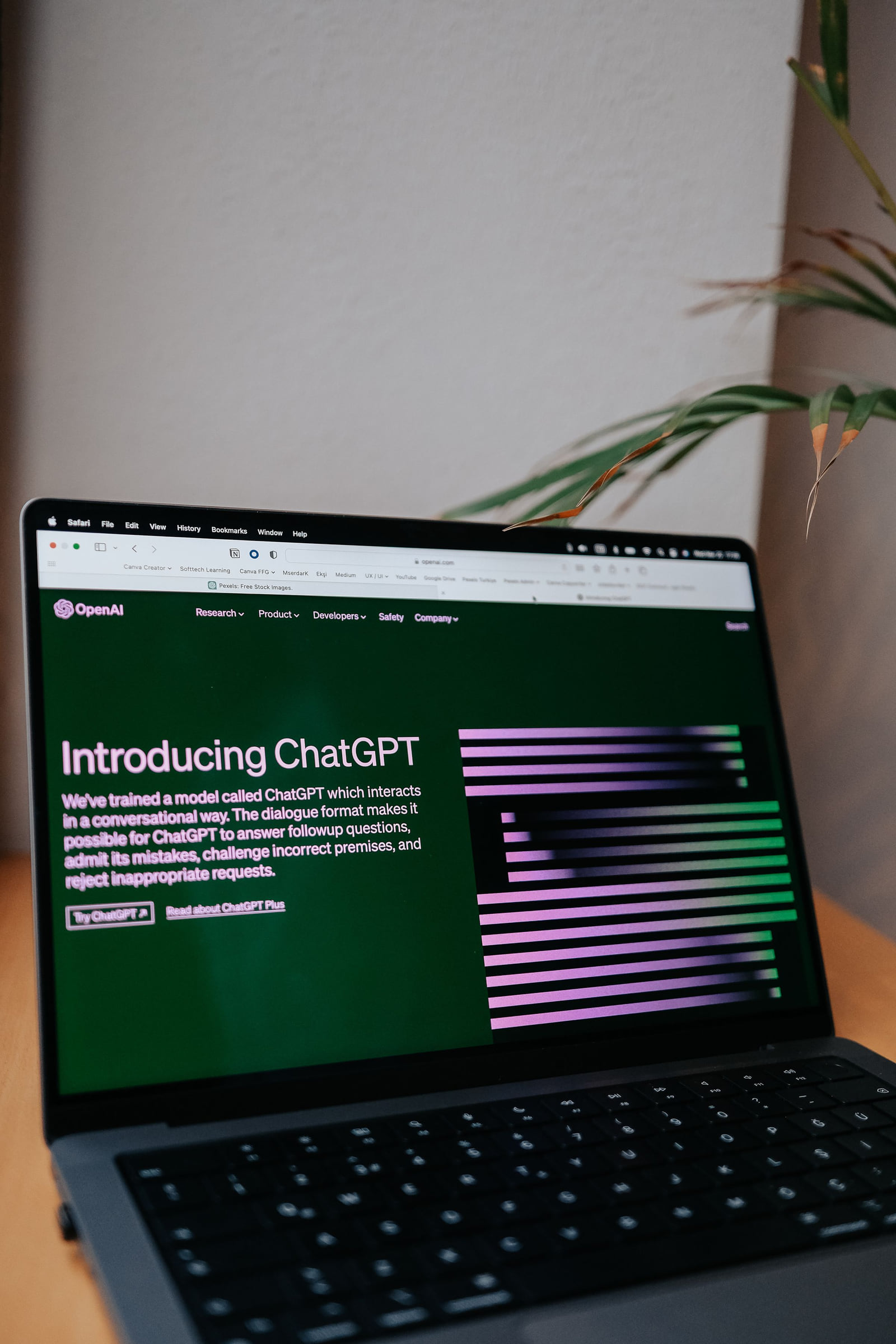 A laptop displaying the Introducing ChatGPT webpage.