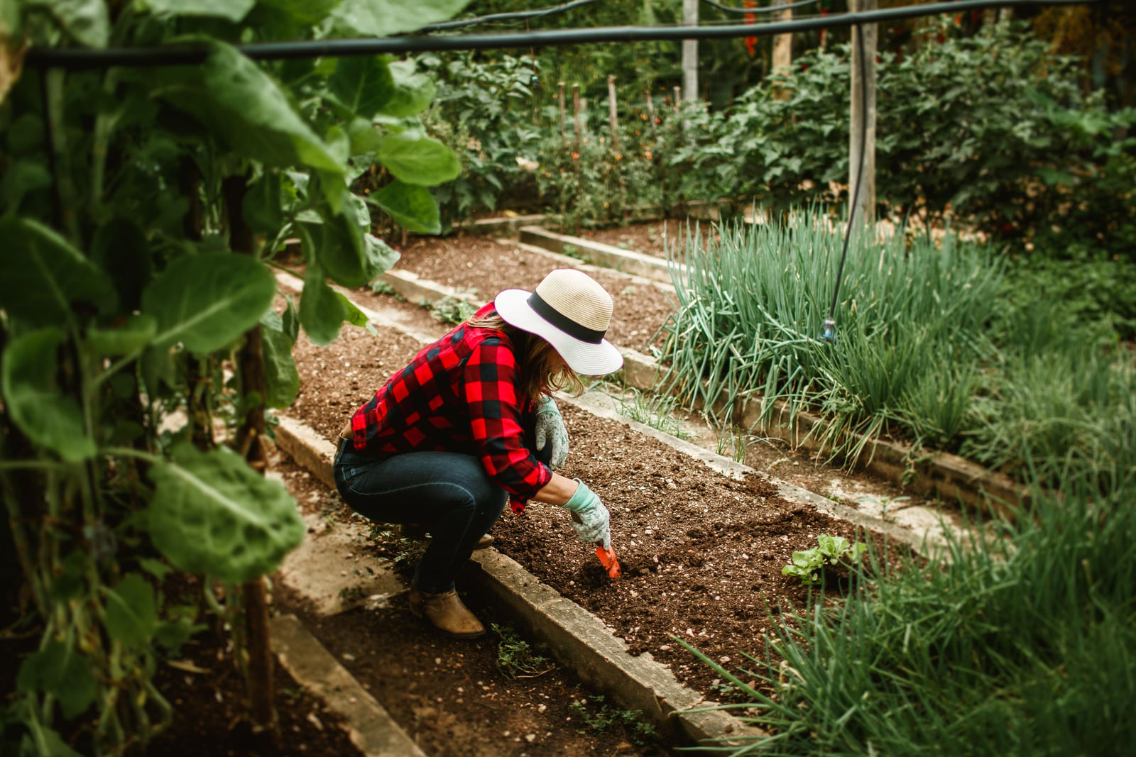 A gardener tending a planted bed in a leafy backyard.