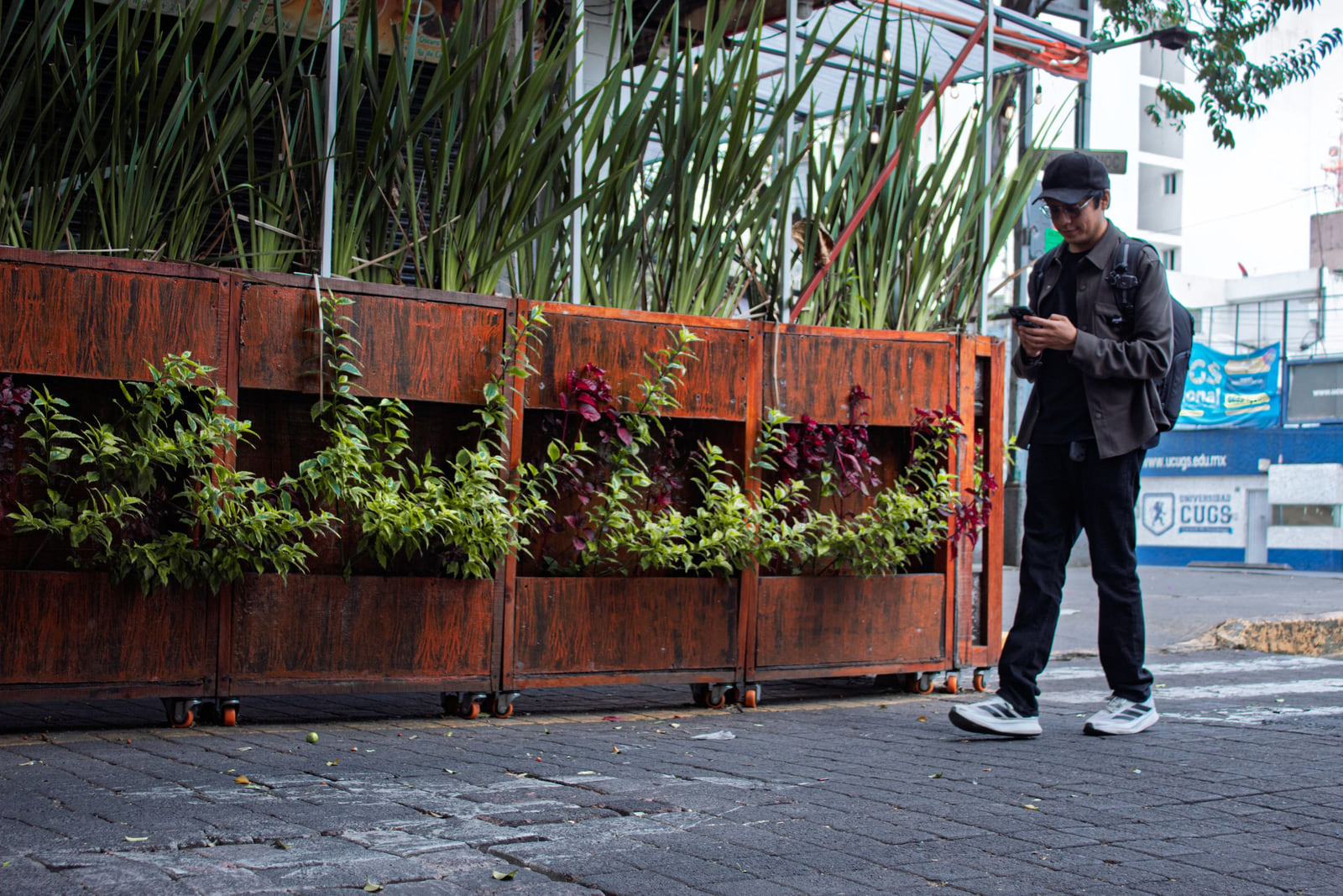 A person checking a phone beside planters on a city street.