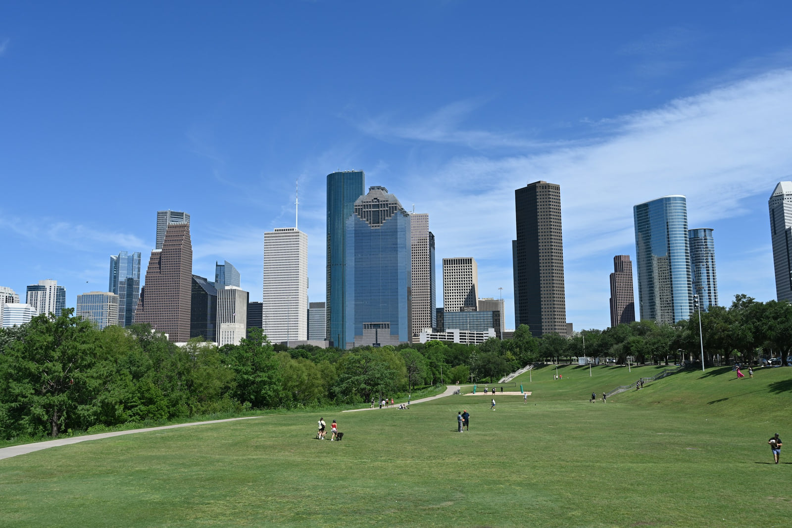 The Houston skyline beyond a green public park.