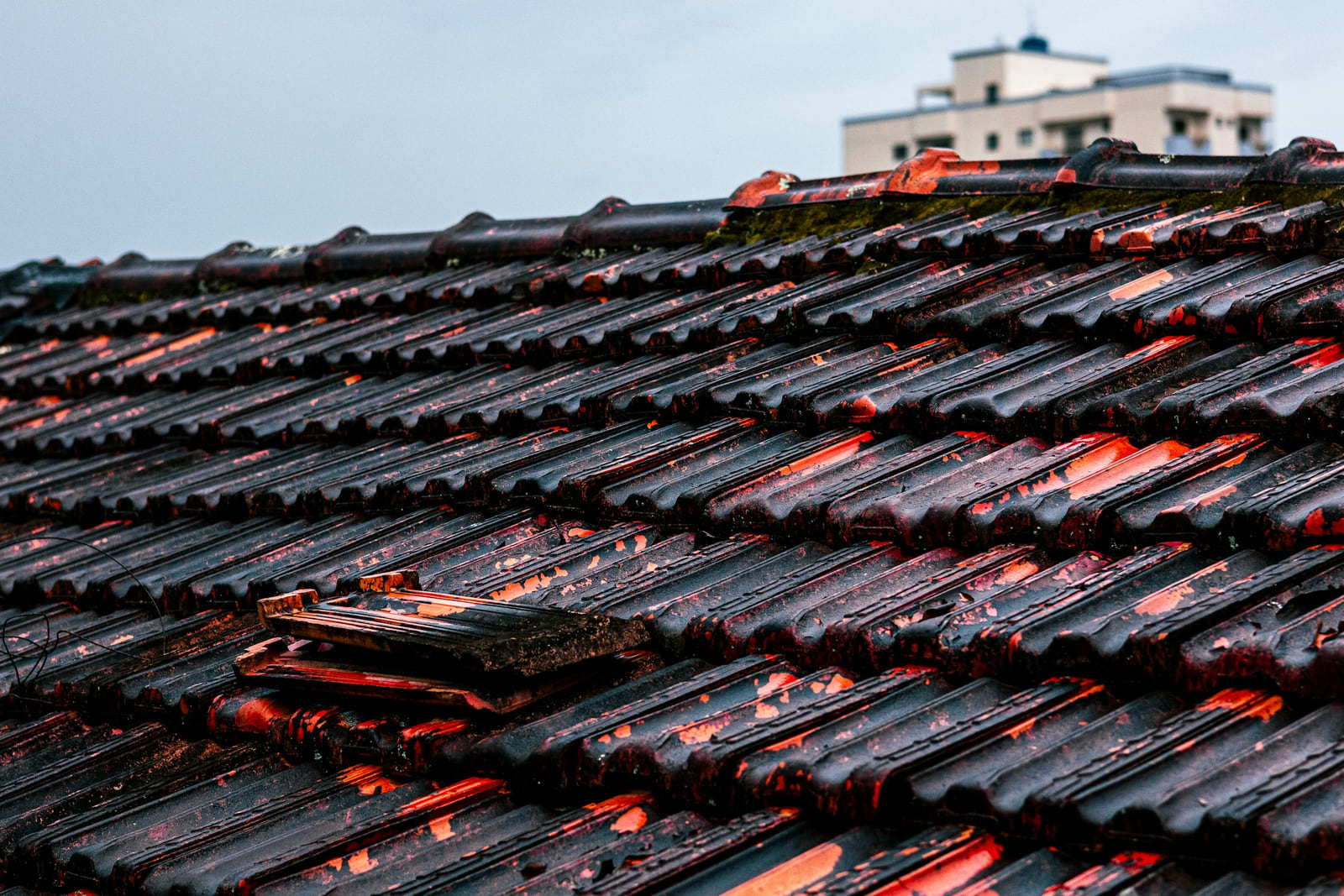 A close-up of dark roof tiles with weathered surfaces.