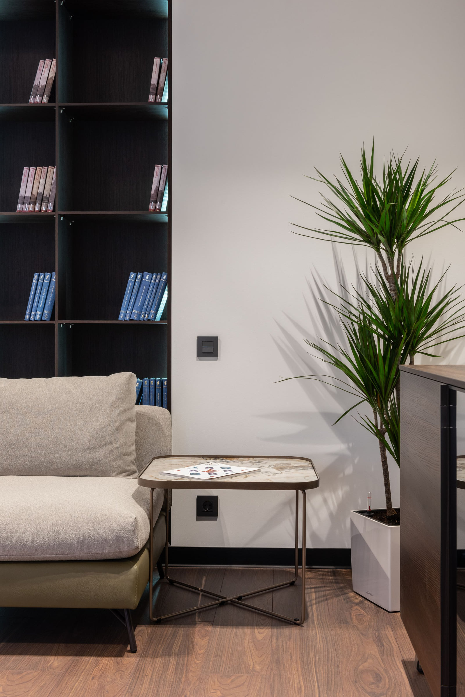A living-room corner with a built-in bookcase, sofa and small side table.