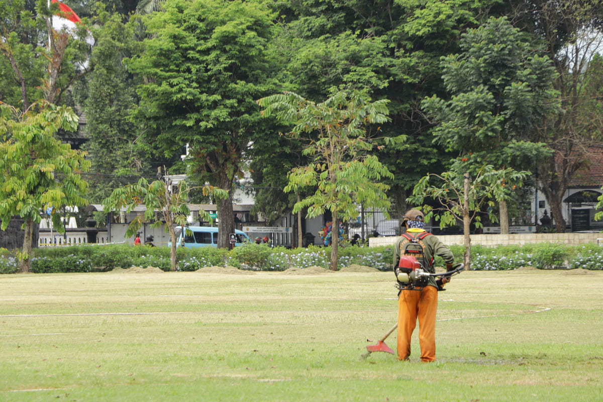 A groundskeeper trimming grass in a green outdoor area.