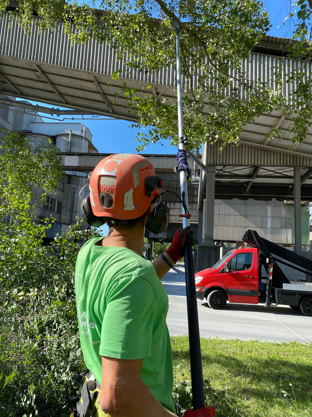 A tree worker wearing a helmet while using cutting equipment.