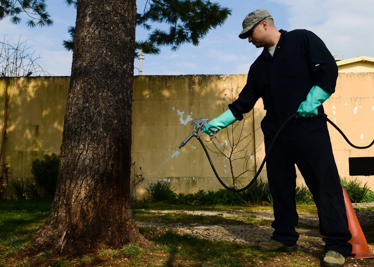 A pest-control worker applying treatment outdoors beside a tree.