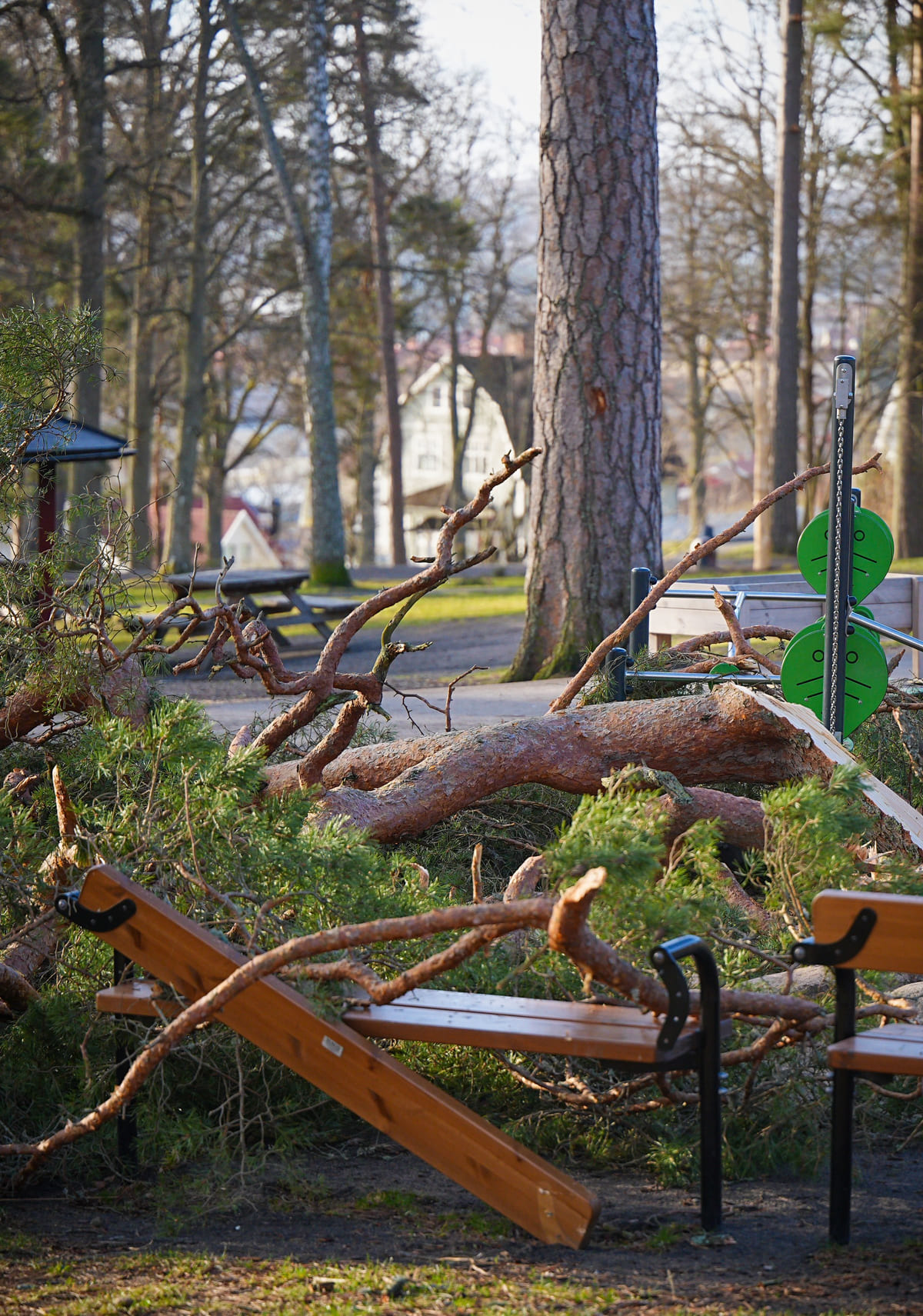 A fallen tree and broken branches resting across a park bench.
