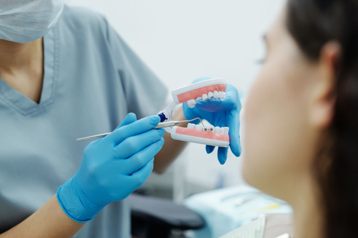 A dental professional explaining a model of teeth to a patient.