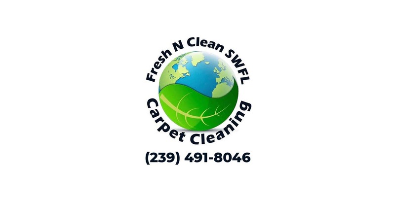 Fresh N Clean SWFL logo