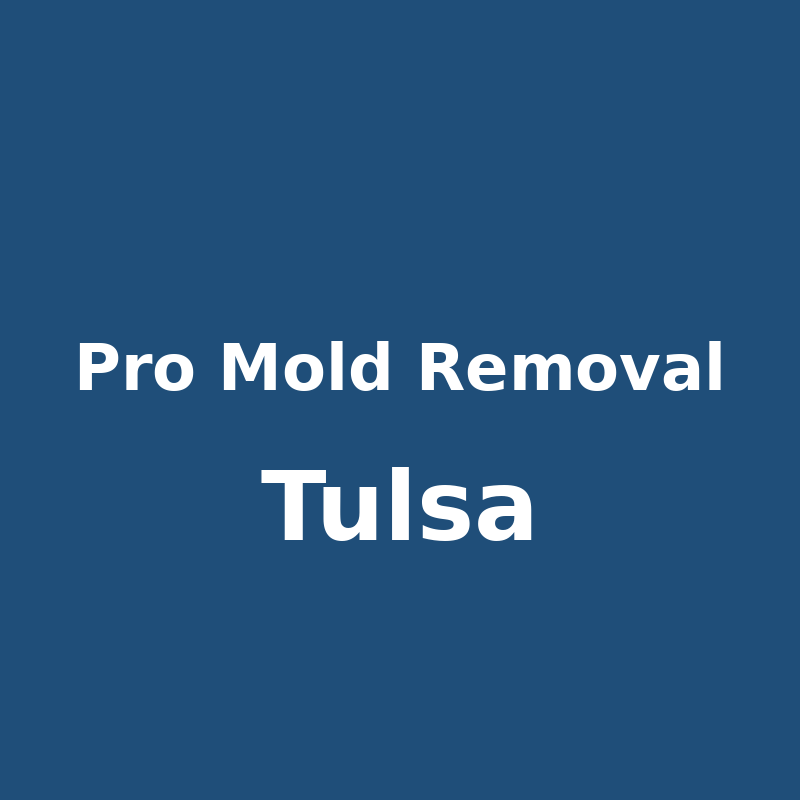 Pro Mold Removal Tulsa logo