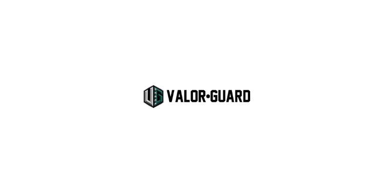 Valor Guard Security logo