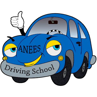 ANEES Driving School LLC logo